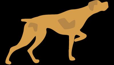 The Tailorhound Logo
